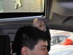 2014款 1.6L 自动 豪华版