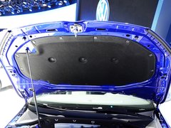 2014款 R 2.0 DSG 敞篷版