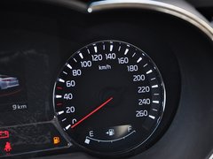 2014款 2.0L AT LUXURY