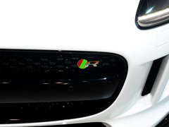 2014款 5.0T V8 495  R COUPE