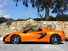 2014款 3.8T Spider