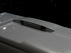 2019款 小麦版 