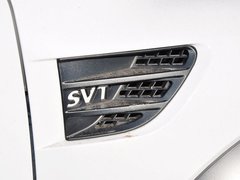 2014款 SVT Raptor特别版