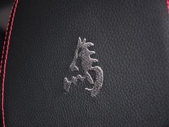 2014款 328Li 马年限量版