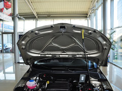 2015款 1.6L 自动 乐选型