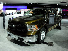 2014款 1500 Mossy Oak Edition 