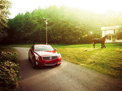 2013款 3.6L AWD