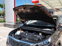 2015款 2.0L 自动 两驱版DLX 5座
