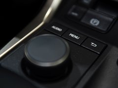 2015款 300h 锋致版 全驱 5座