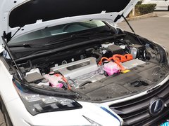 2015款 300h 锋致版 全驱 5座