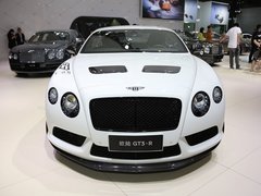 2015款 4.0T GT3-R