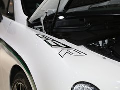 2015款 4.0T GT3-R