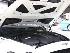 2015款 4.0T GT3-R