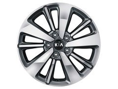 2015款 1.6L 自动 两驱PRM