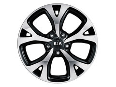 2015款 1.6L 自动 两驱PRM