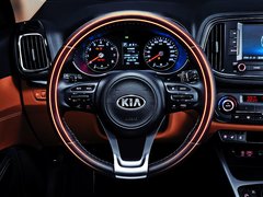 2015款 1.6L 自动 两驱PRM