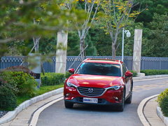 2016款 2.5L 自动四驱蓝天激情版