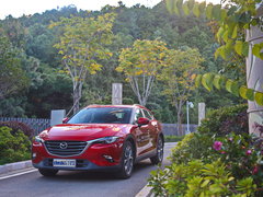 2016款 2.5L 自动四驱蓝天激情版
