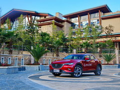 2016款 2.5L 自动四驱蓝天激情版