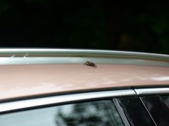2017款 2.0T 四驱极限版