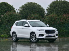 2017款 蓝标 1.5T 自动两驱尊贵型