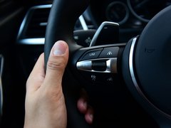 2017款 330Li M运动型