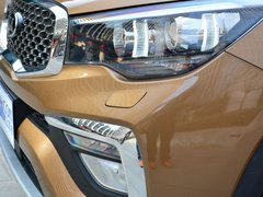 2017款 2.0T 自动四驱DLX 7座