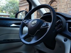 2017款 2.0T Avenir