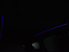 2017款 2.0T Avenir