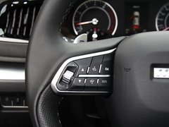 2017款 红标 1.5T 自动精英型