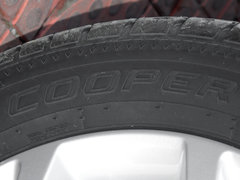 2017款 红标 1.5T 手动精英型