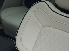 2017款 3.0T 四驱总统版