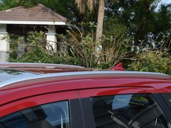 2016款 1.6L 自动尊贵型