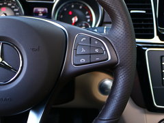 2017款 GLE 320 4MATIC 动感型