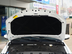 2017款 三厢 EV300 精英型
