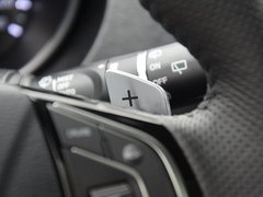 2017款 红标 2.0T 自动两驱尊贵型