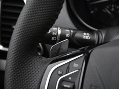 2017款 蓝标 2.0T 自动两驱都市型