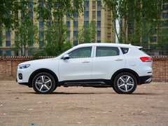 2017款 全新 红标 2.0T 自动两驱智尚型
