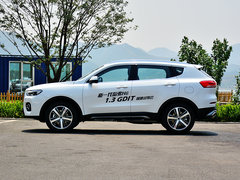 2017款 全新 红标 1.3T 自动两驱智尚型
