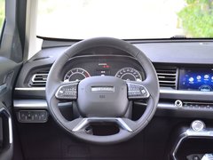 2017款 全新 红标 1.3T 自动两驱智尚型