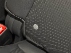 2017款 ERX5 EV400 电动互联网豪华版