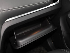 2017款 ERX5 EV400 电动互联网豪华版