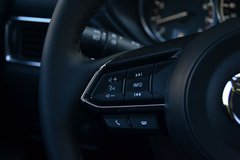 2017款 2.5L 自动四驱旗舰型 国V