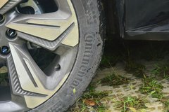 2017款 2.0T 自动四驱 天狼星