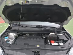 2018款 红标 运动版 1.5T 自动两驱尊贵型