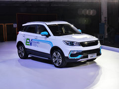 2018款 EV300 风行版