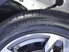 2018款 EV300 风行版