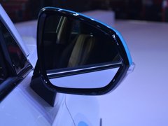 2018款 EV300 风行版