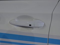 2018款 EV300 风行版