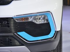 2018款 EV300 风行版